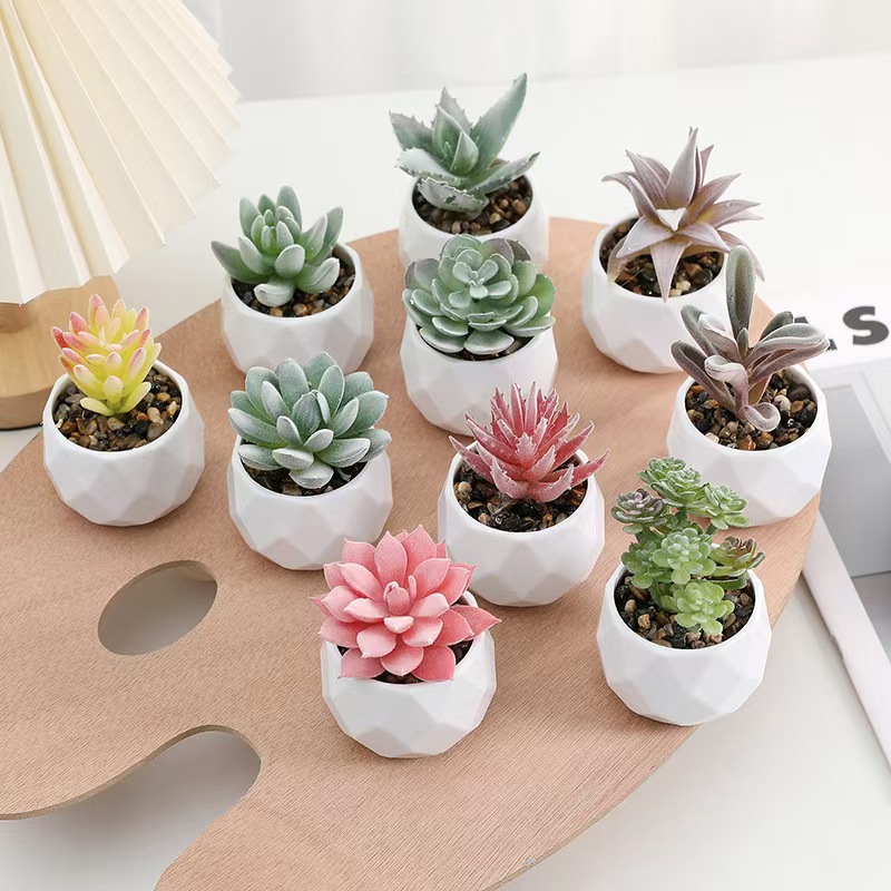 Mini Artificial Plants Simulat - Cactus Mix Pot incelemesi ve fiyatı