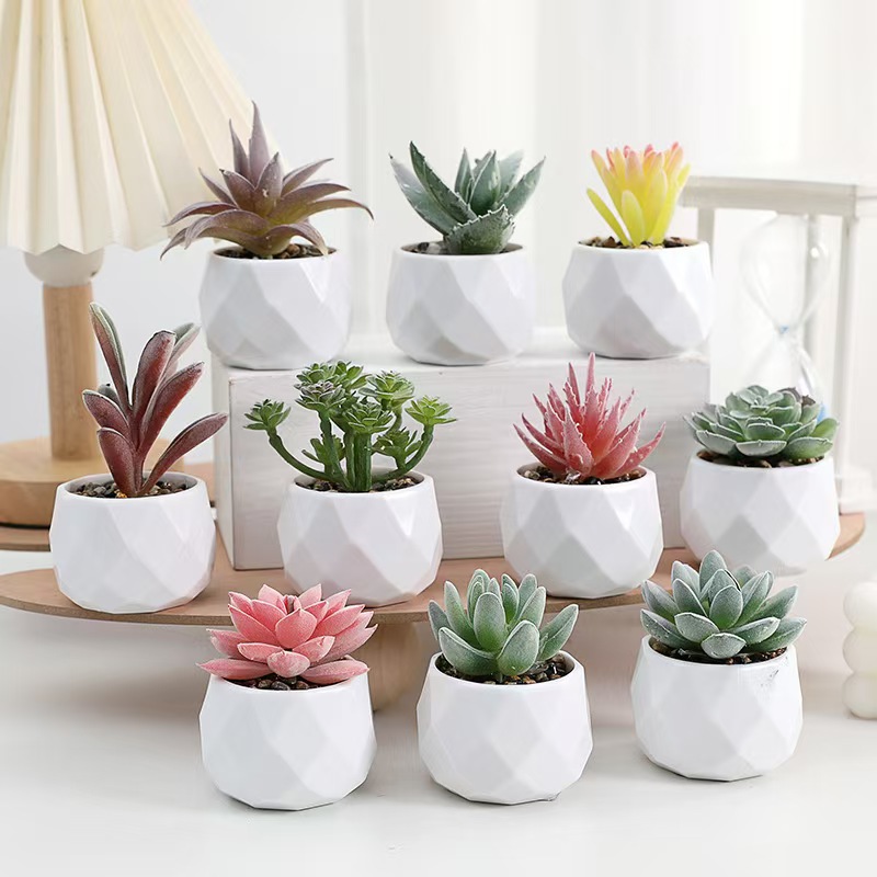 Mini Artificial Plants Simulat - Cactus Mix Pot incelemesi ve fiyatı
