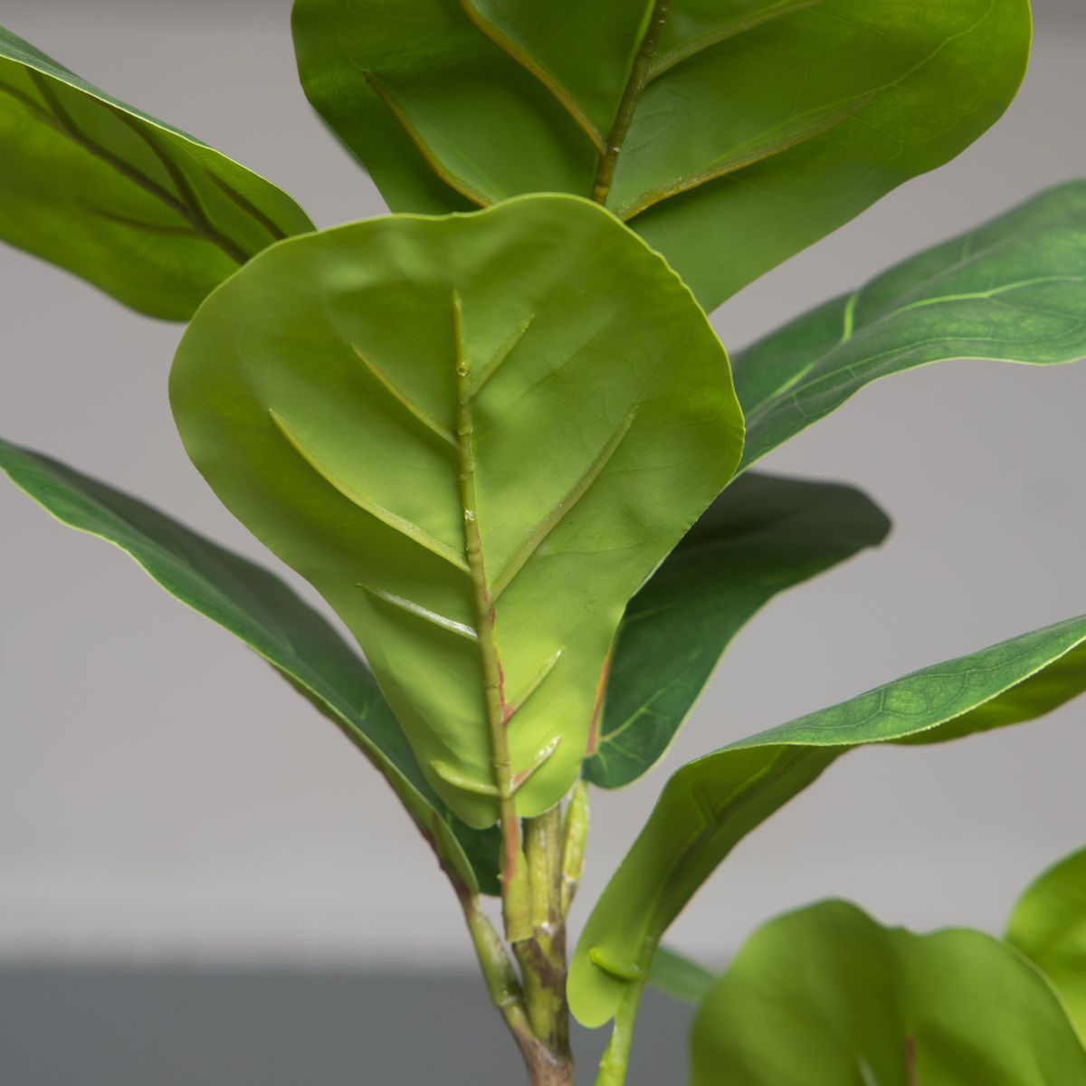103cm/132cm Artificial Ficus T - Rubber Plant Ficus incelemesi ve fiyatı
