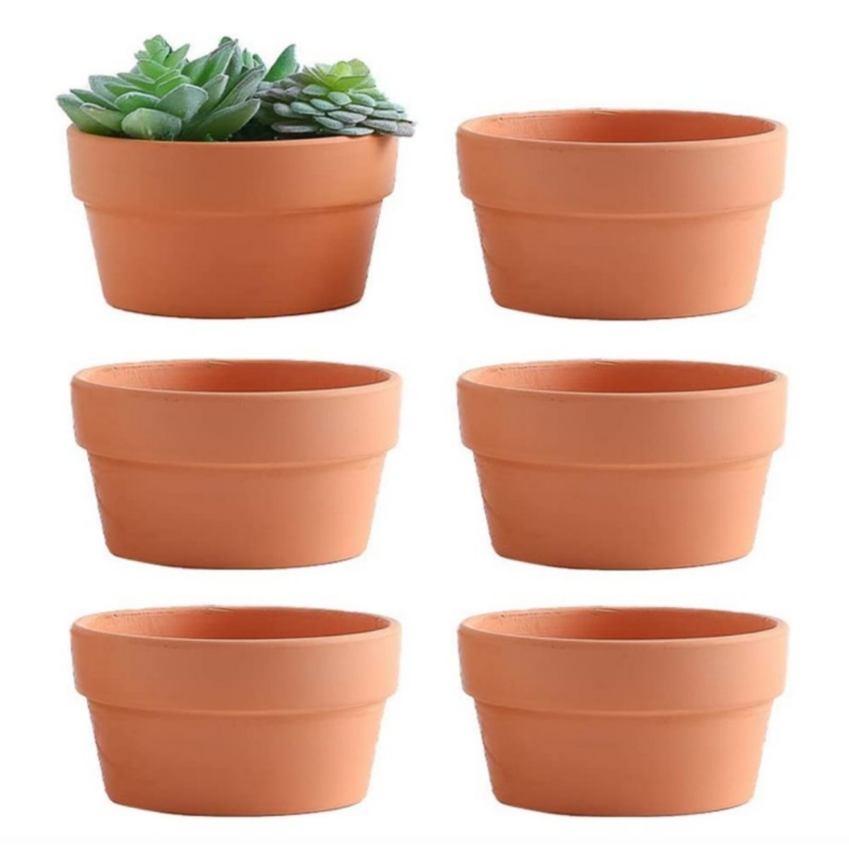 6 PCS Terracotta Buld Pots 3.5 - Cactus Mix Pot incelemesi ve fiyatı