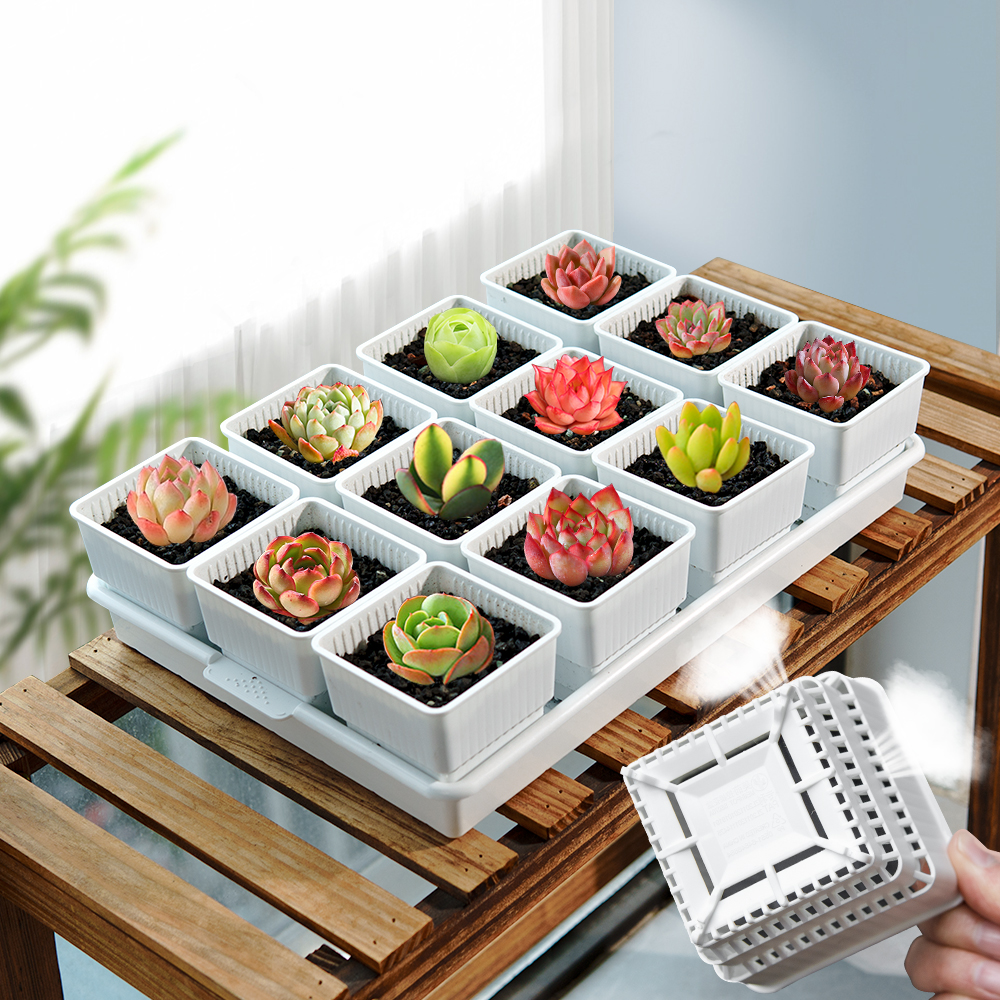 Meshpot Succulent Pot Plastic  - Cactus Mix Pot incelemesi ve fiyatı