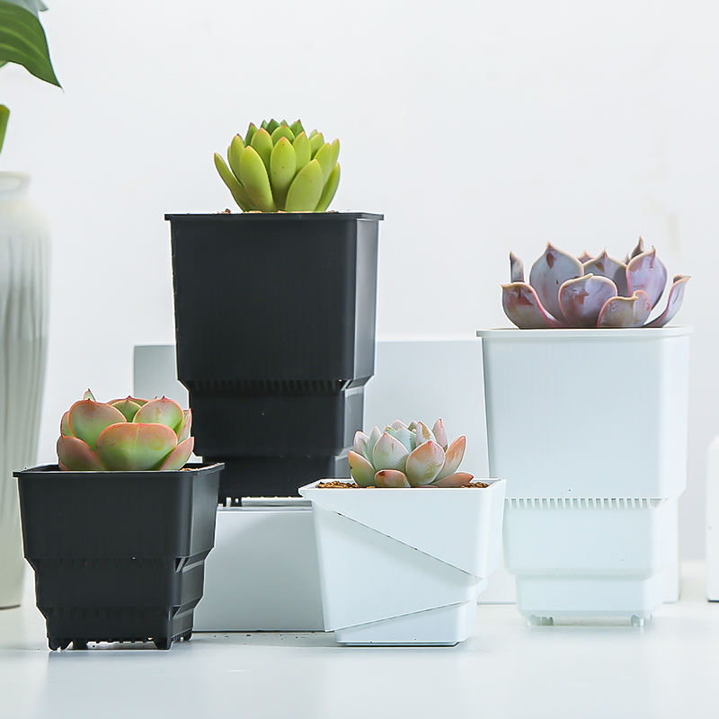 Meshpot Succulent Pot Plastic  - Cactus Mix Pot incelemesi ve fiyatı