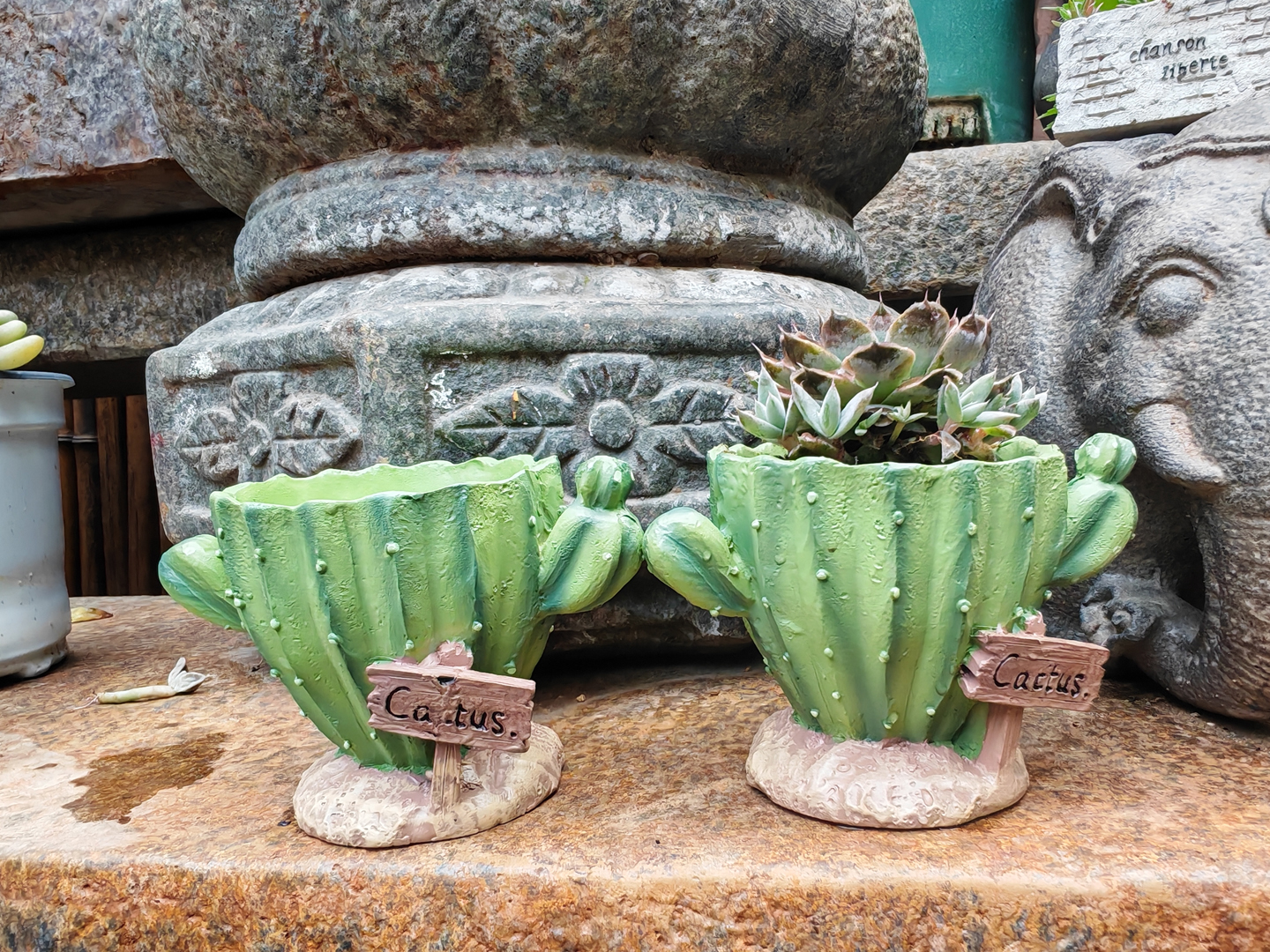 Cactus Flower Planter Pot Cute - Cactus Mix Pot incelemesi ve fiyatı