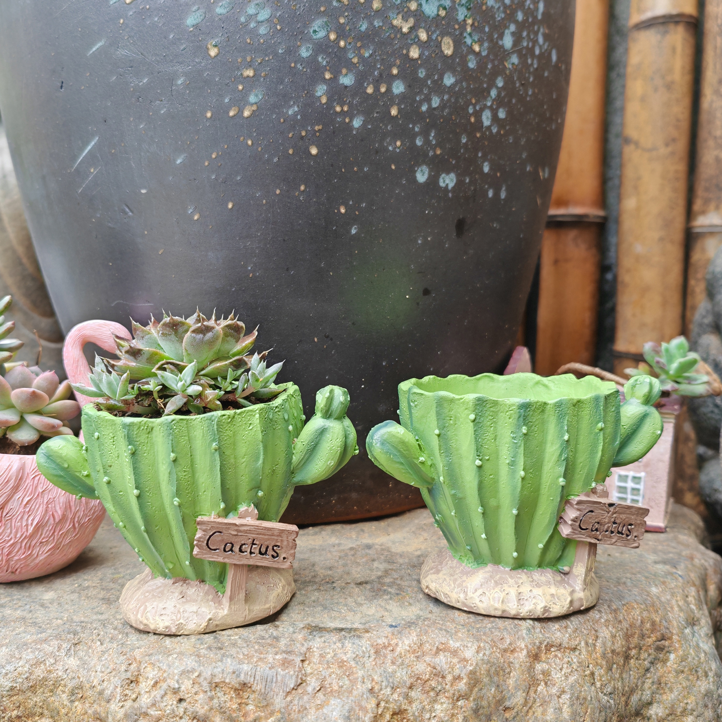 Cactus Flower Planter Pot Cute - Cactus Mix Pot incelemesi ve fiyatı