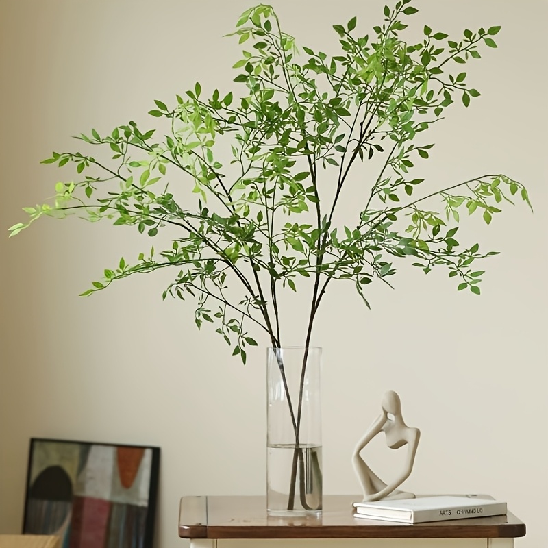 1 Piece, Single Stem, Without  - Rubber Plant Ficus incelemesi ve fiyatı