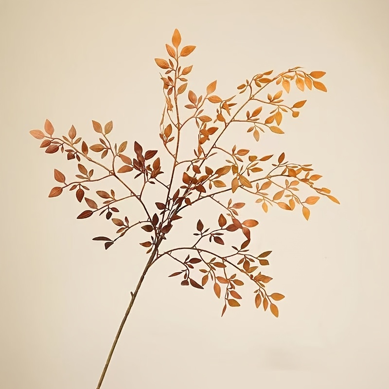 1 Piece, Single Stem, Without  - Rubber Plant Ficus incelemesi ve fiyatı