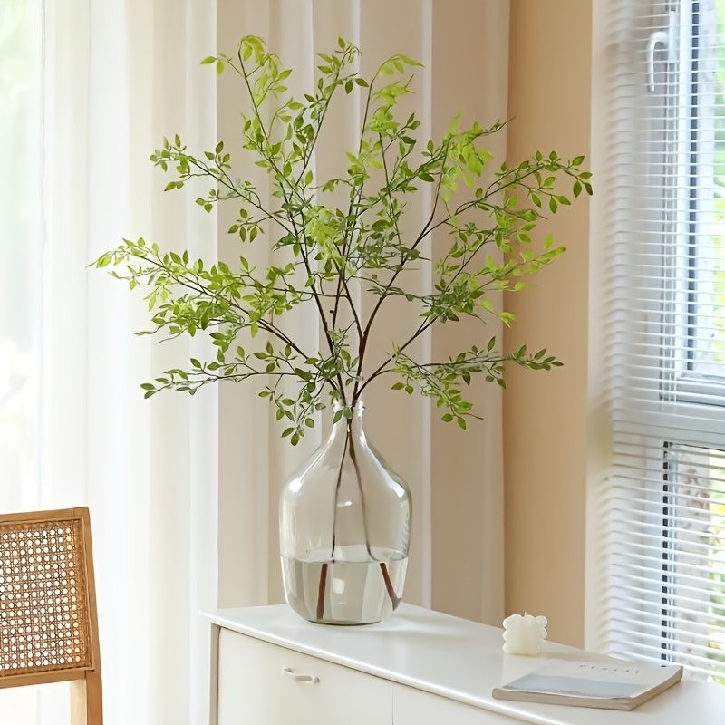 1 Piece, Single Stem, Without  - Rubber Plant Ficus incelemesi ve fiyatı
