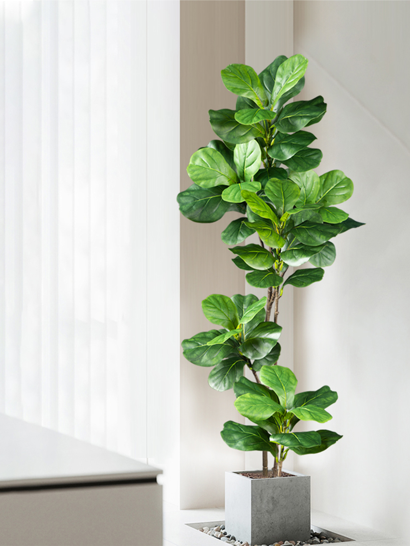 70-135cm Large Artificial Ficu - Rubber Plant Ficus incelemesi ve fiyatı