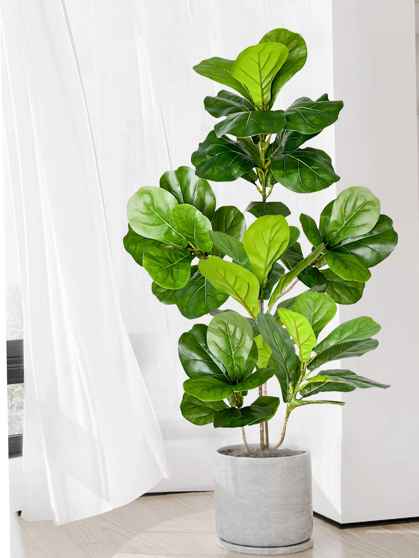 70-135cm Large Artificial Ficu - Rubber Plant Ficus incelemesi ve fiyatı