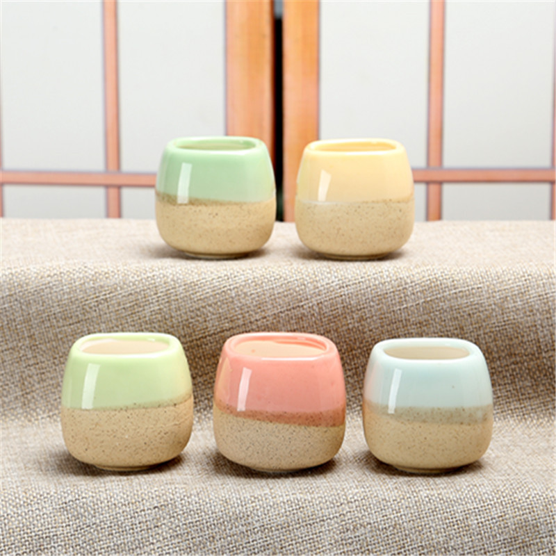 Mini Jelly Shape Cartoon Ceram - Cactus Mix Pot incelemesi ve fiyatı