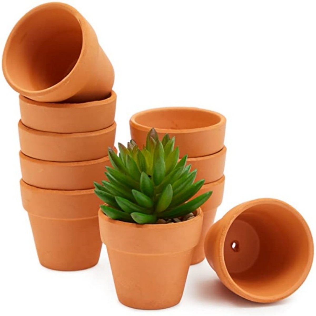 16 Pcs 1.8'' Terra Cotta Pots  - Cactus Mix Pot incelemesi ve fiyatı