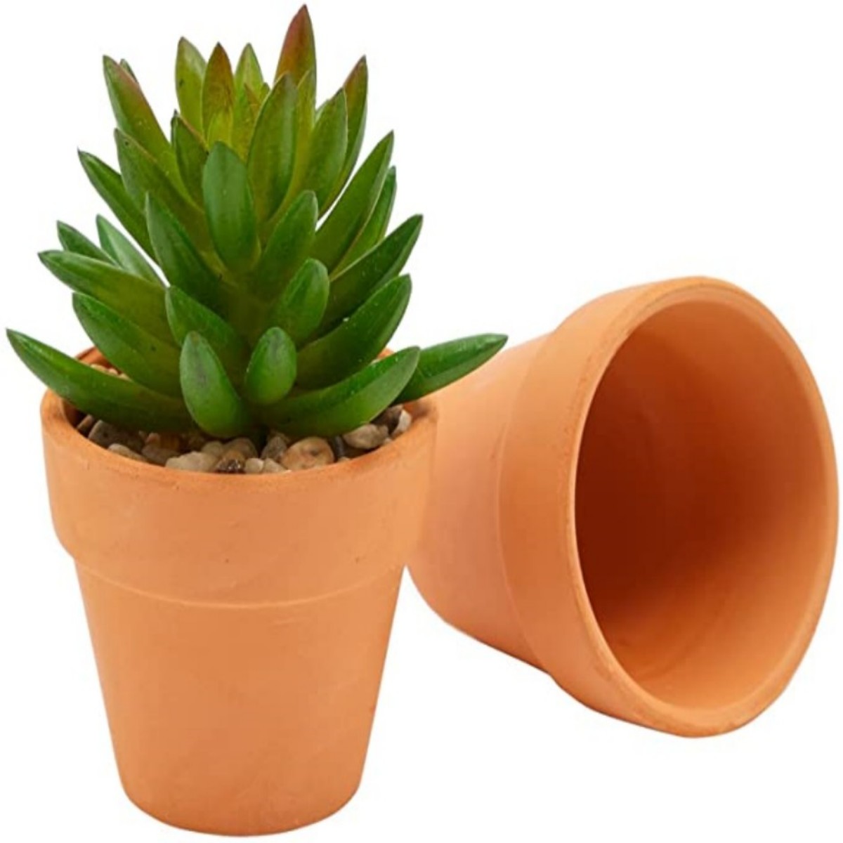 16 Pcs 1.8'' Terra Cotta Pots  - Cactus Mix Pot incelemesi ve fiyatı