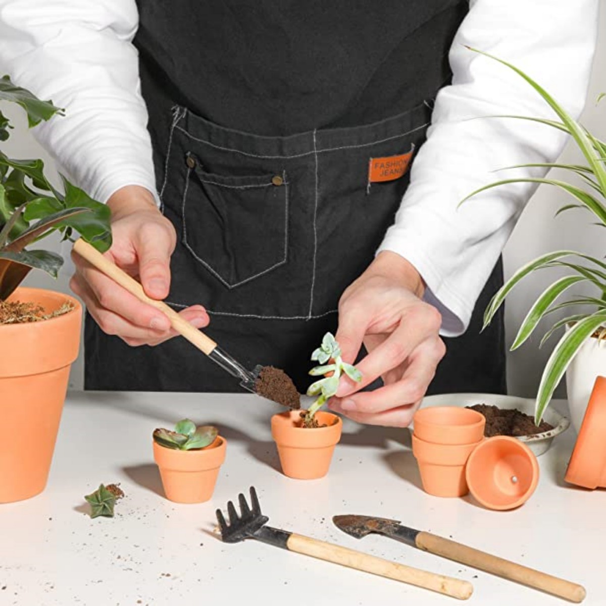 16 Pcs 1.8'' Terra Cotta Pots  - Cactus Mix Pot incelemesi ve fiyatı