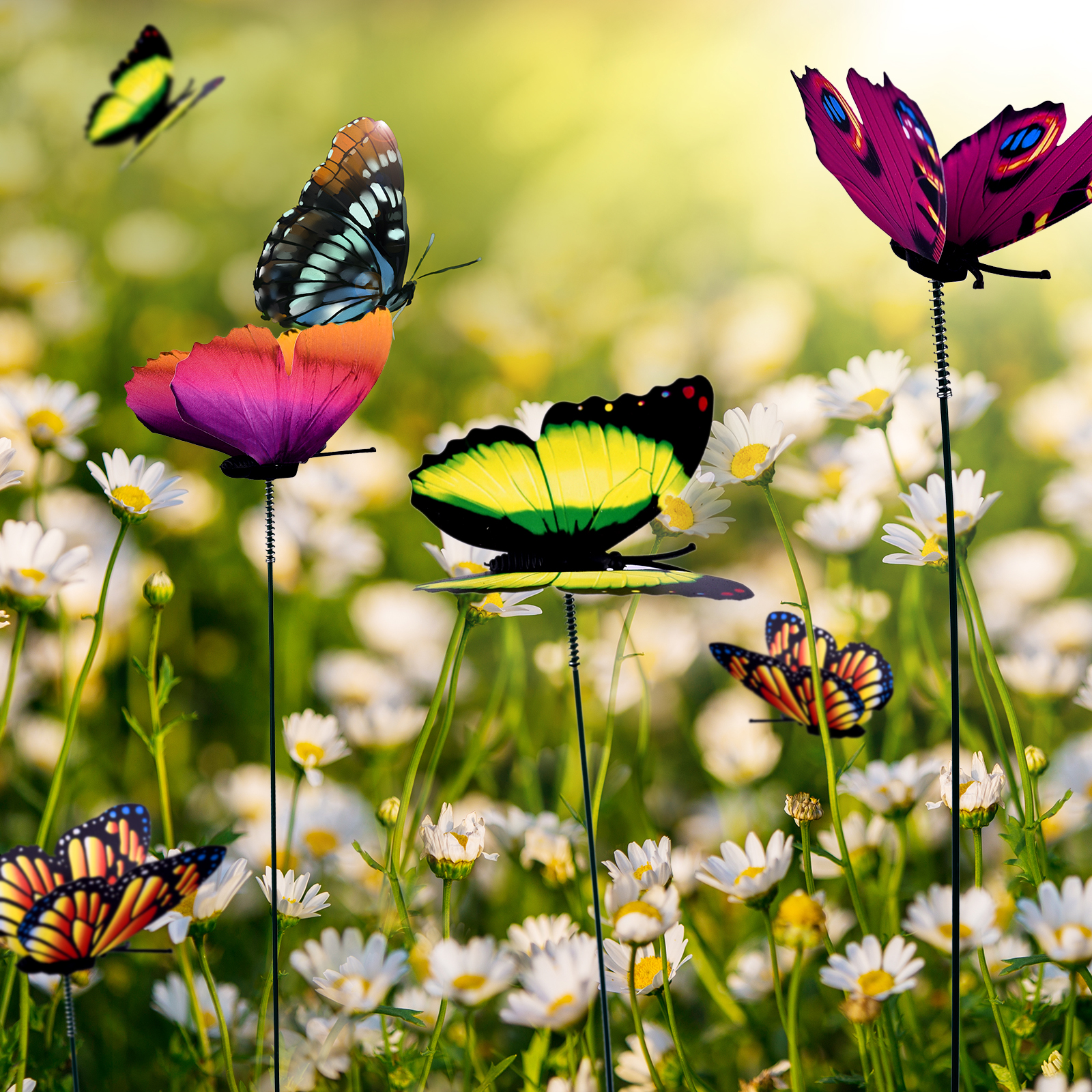 24Pcs/set Butterflies Garden Y - Plant Parents incelemesi ve fiyatı
