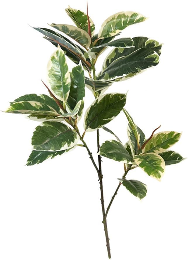 Ficus Tineke Artificial Plant  - Rubber Plant Ficus incelemesi ve fiyatı