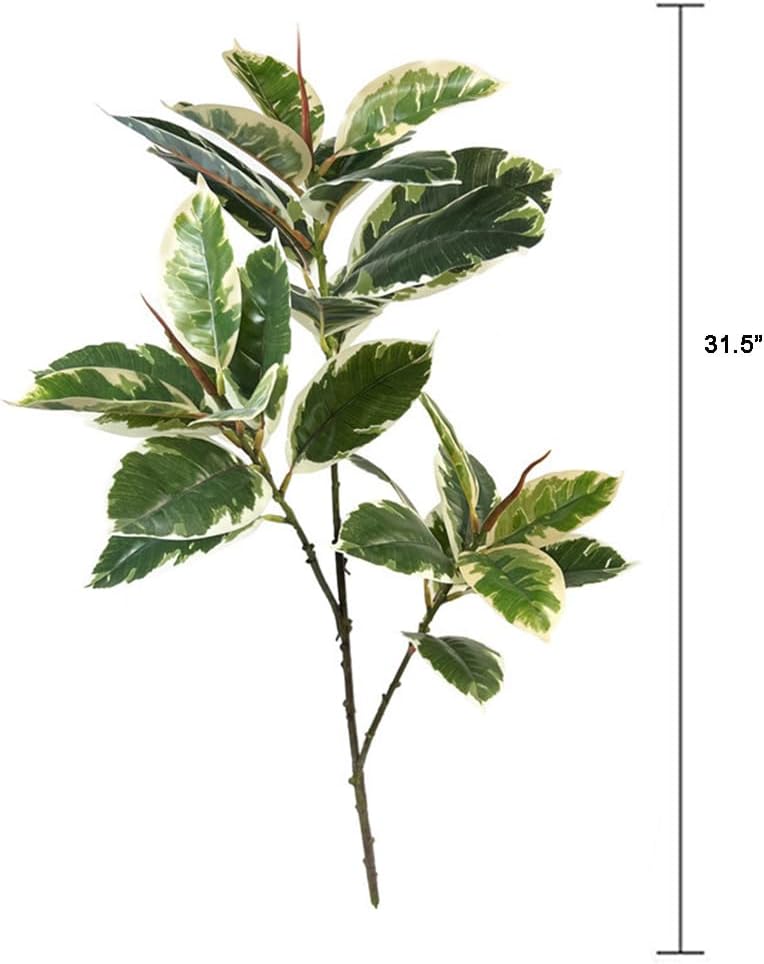 Ficus Tineke Artificial Plant  - Rubber Plant Ficus incelemesi ve fiyatı