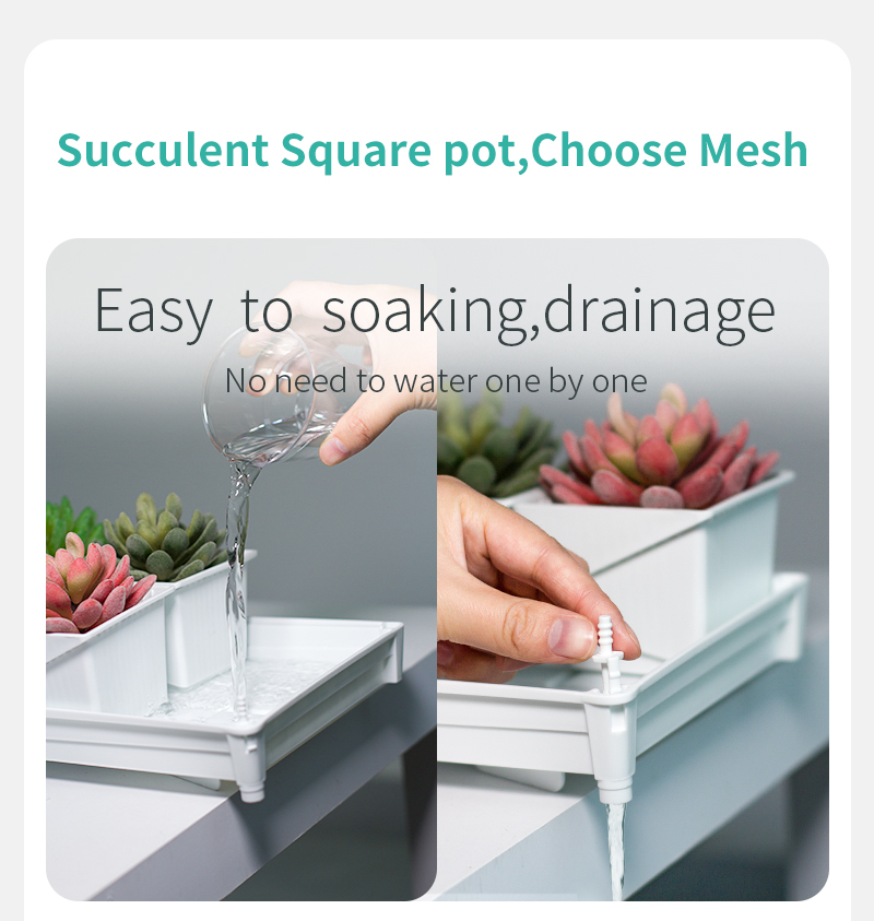 Meshpot Succulent Pot Set Cact - Cactus Mix Pot incelemesi ve fiyatı