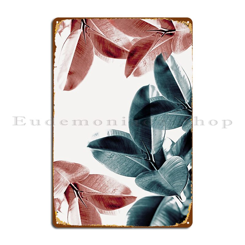 Rubber Plant Leaves Green And  - Rubber Plant Ficus incelemesi ve fiyatı