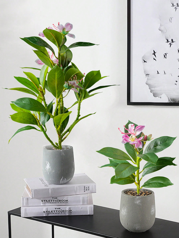21-40cm Artificial Azaleas Pla - Rubber Plant Ficus incelemesi ve fiyatı
