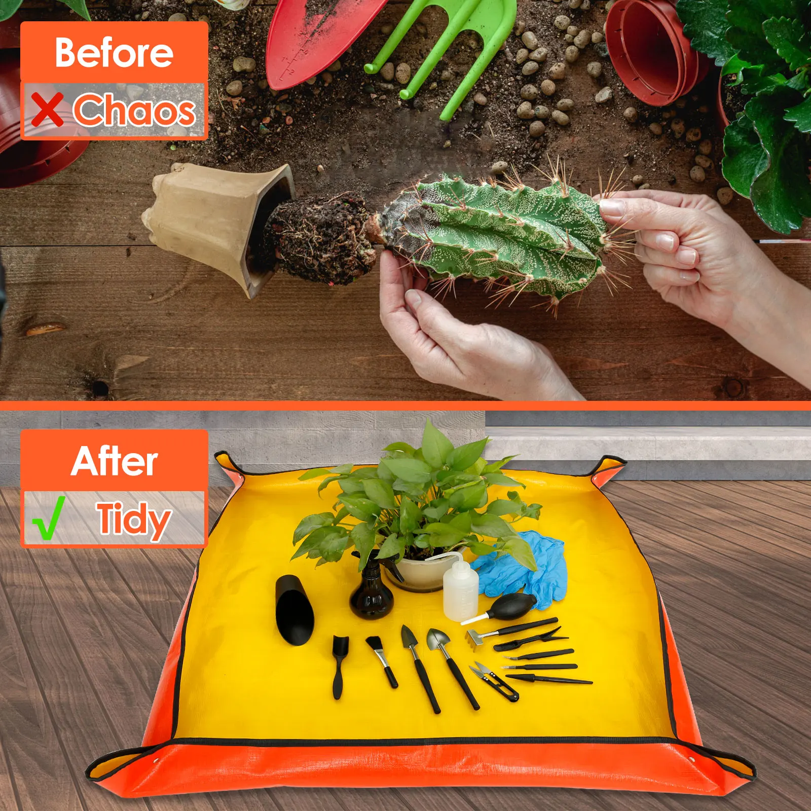 13/16Pcs Garden Succulent Plan - Plant Parents incelemesi ve fiyatı