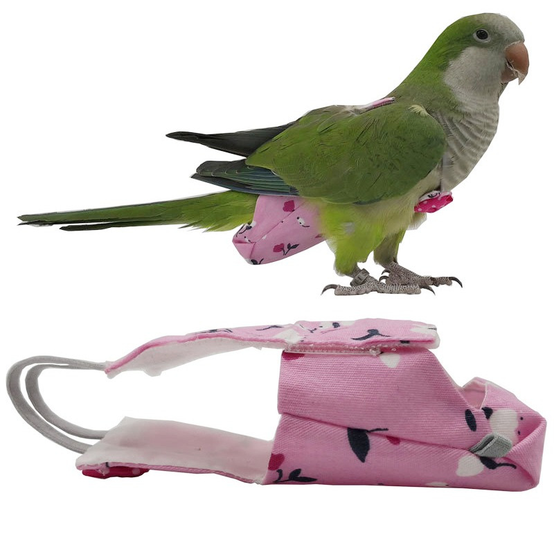 Parrot Diaper with Bowtie Cute - Plant Parenthood incelemesi ve fiyatı