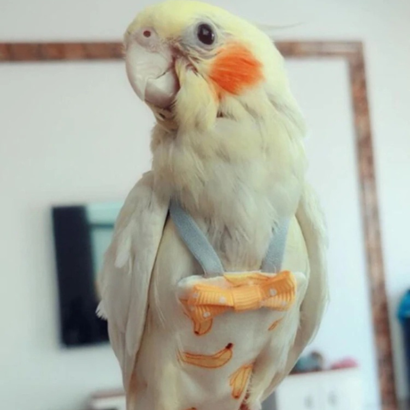 Parrot Diaper with Bowtie Cute - Plant Parenthood incelemesi ve fiyatı