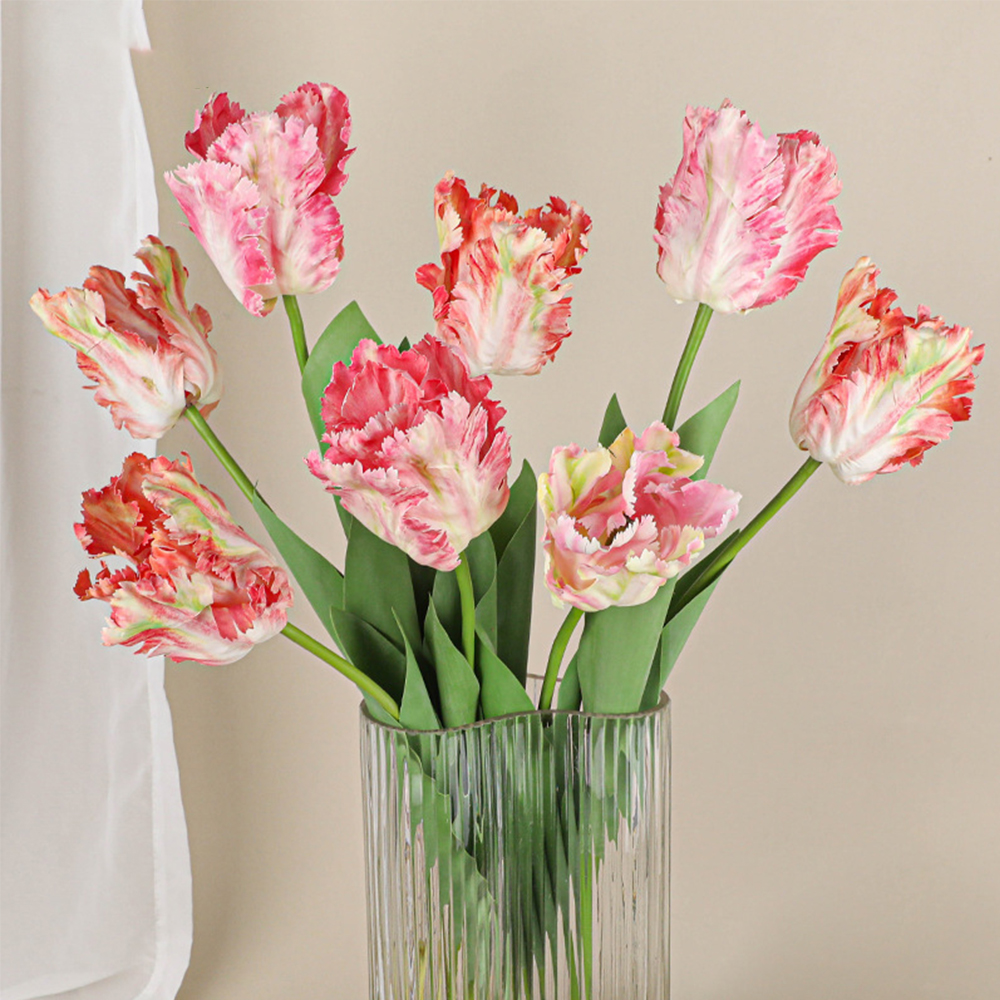 Luxury 3D Parrot Tulip branch  - Plant Parenthood incelemesi ve fiyatı