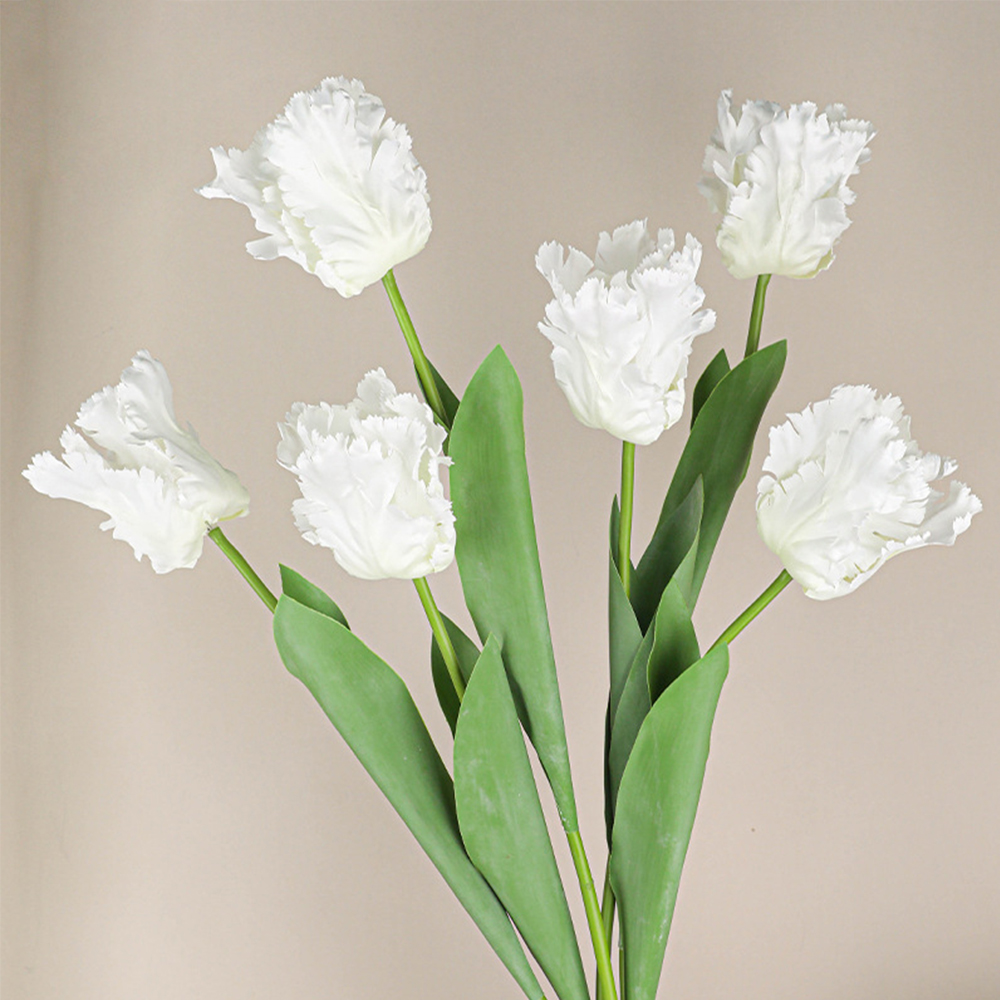 Luxury 3D Parrot Tulip branch  - Plant Parenthood incelemesi ve fiyatı