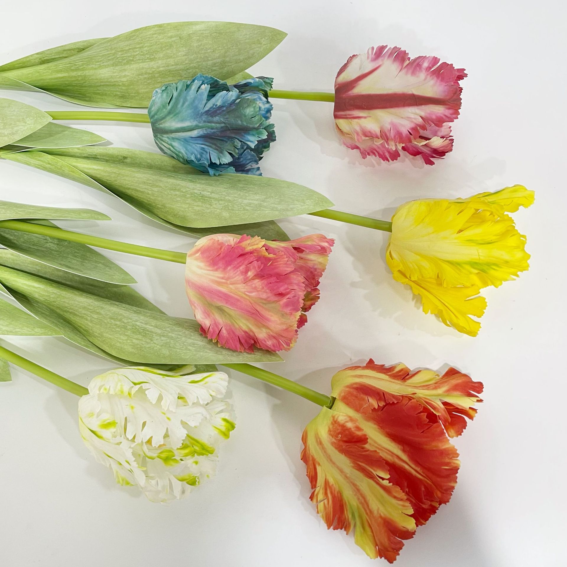 Luxury 3D Parrot Tulip branch  - Plant Parenthood incelemesi ve fiyatı