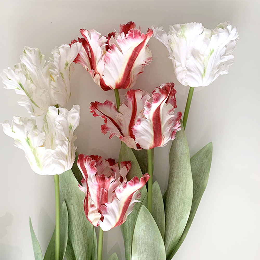 Luxury 3D Parrot Tulip branch  - Plant Parenthood incelemesi ve fiyatı