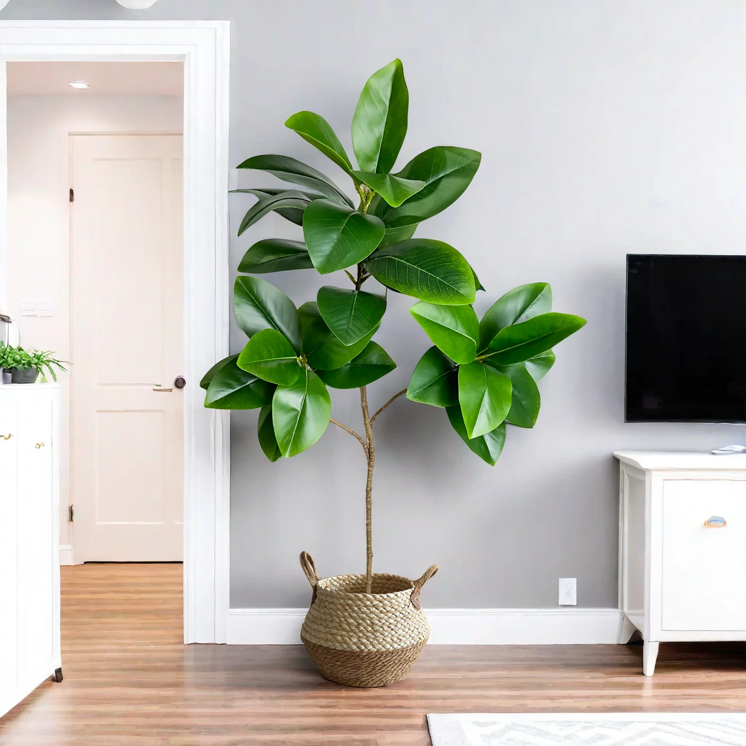 70/135cm Artificial Ficus Tree - Rubber Plant Ficus incelemesi ve fiyatı