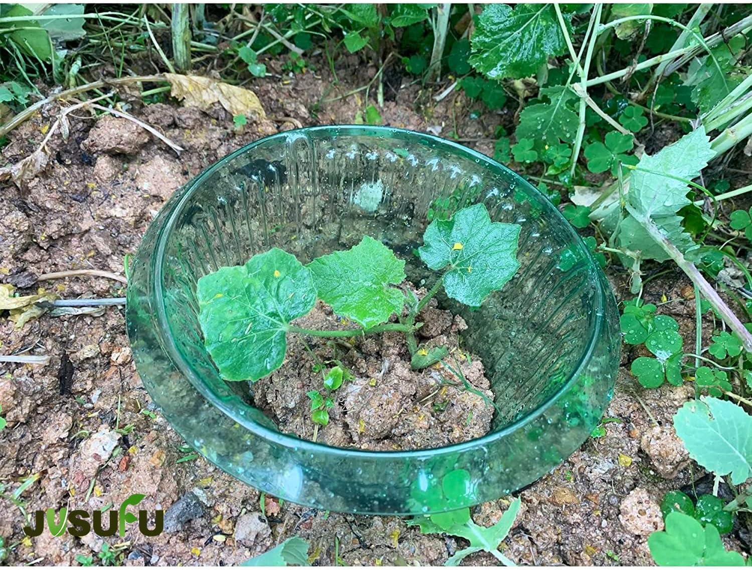 1/30pcs Plants Slug Protection - Plant Parents incelemesi ve fiyatı