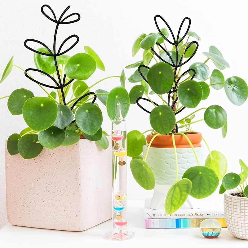 3Pcs Plant Support Frame Climb - Plant Parents incelemesi ve fiyatı