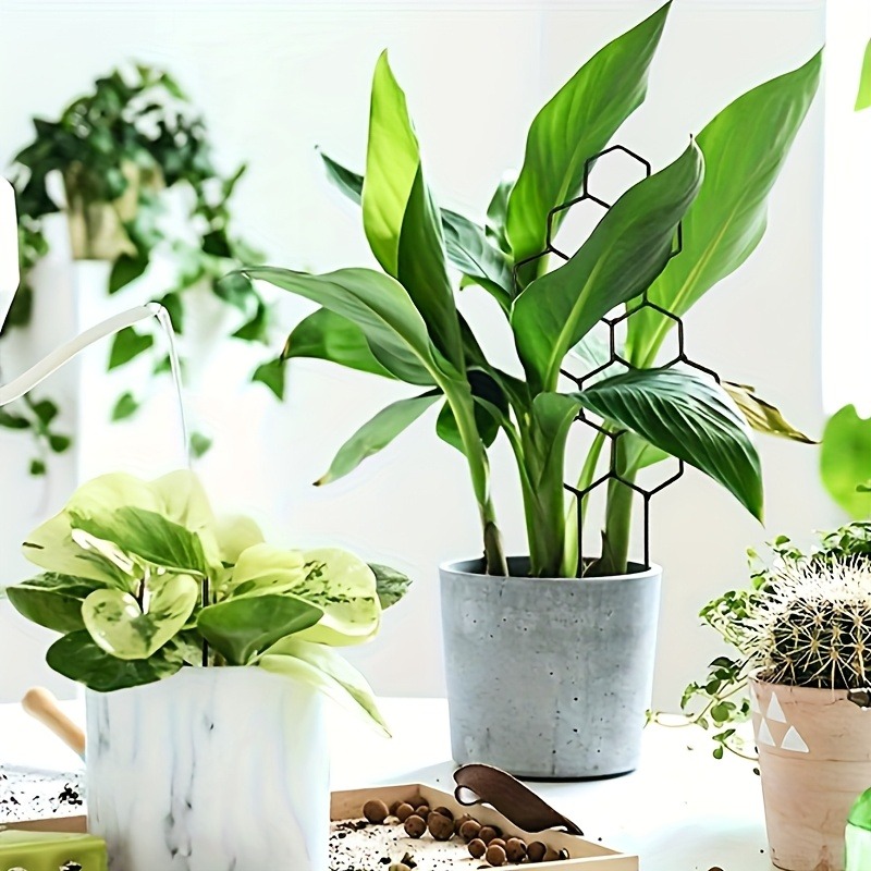 3Pcs Plant Support Frame Climb - Plant Parents incelemesi ve fiyatı