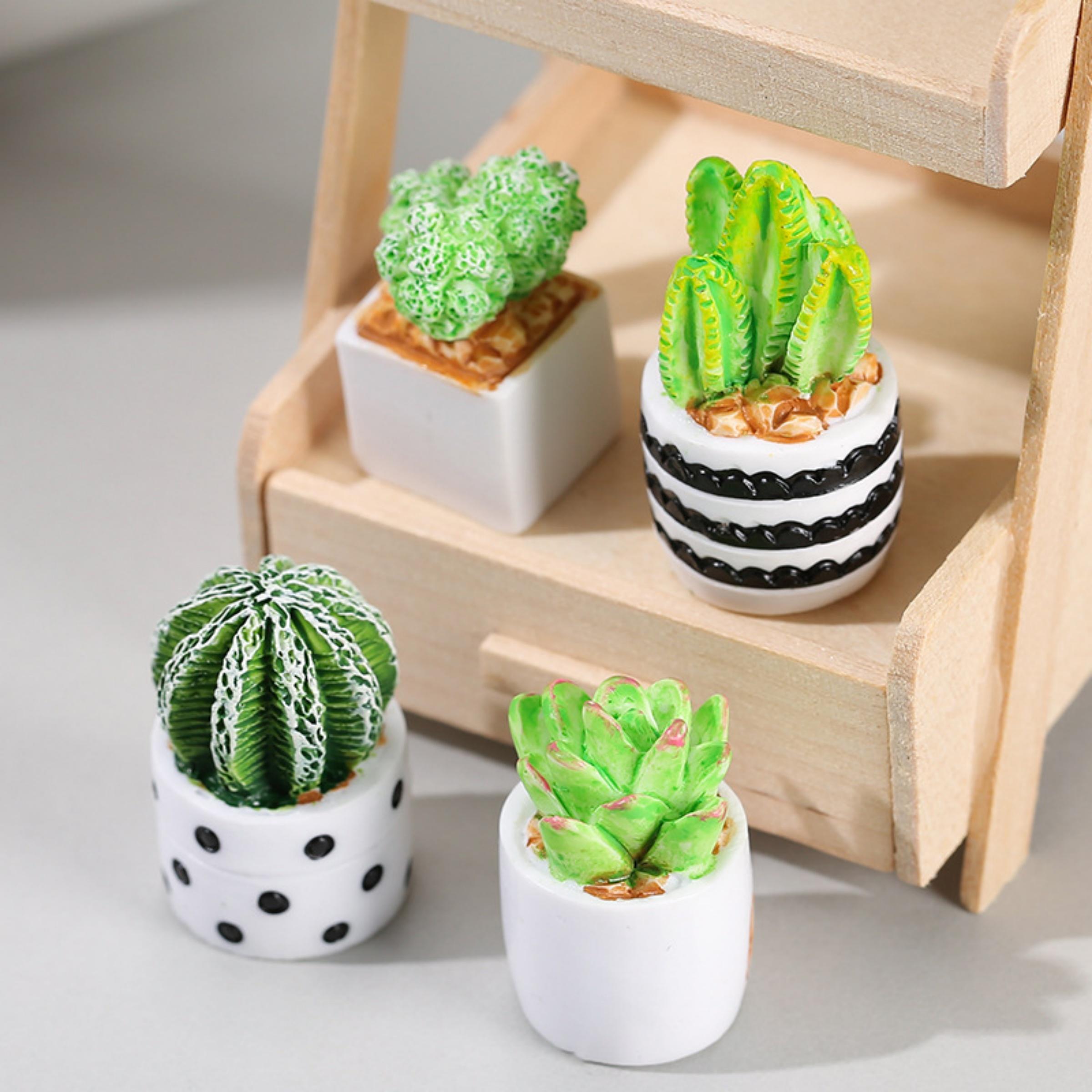 4-Piece Set of Cactus Succulen - Cactus Mix Pot incelemesi ve fiyatı