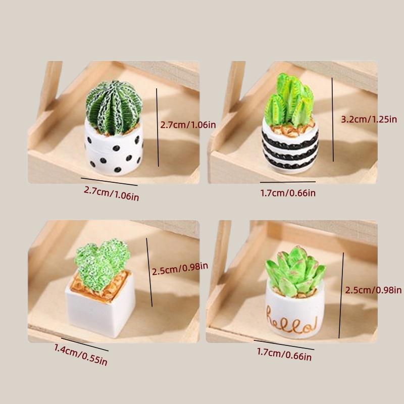 4-Piece Set of Cactus Succulen - Cactus Mix Pot incelemesi ve fiyatı