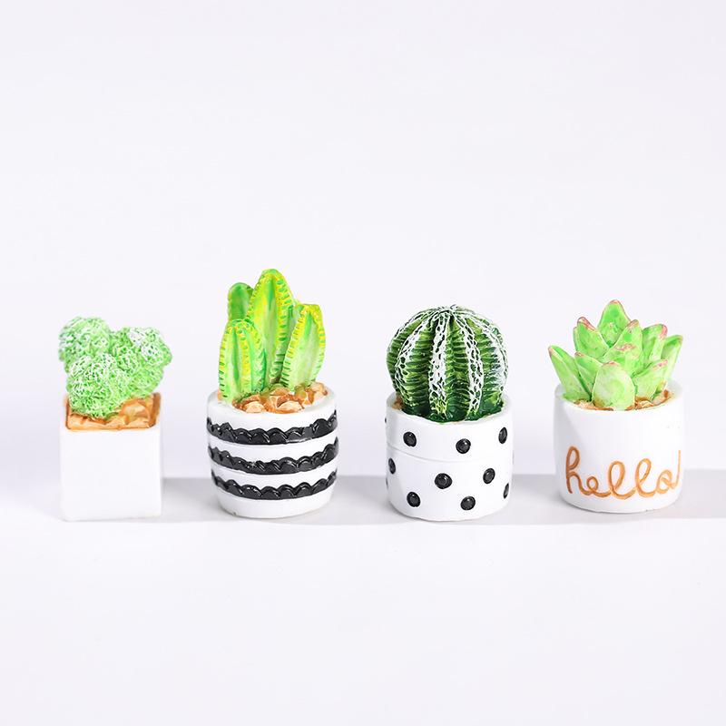 4-Piece Set of Cactus Succulen - Cactus Mix Pot incelemesi ve fiyatı