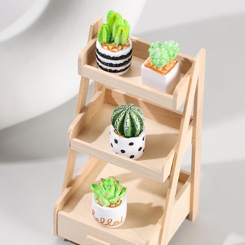 4-Piece Set of Cactus Succulen - Cactus Mix Pot incelemesi ve fiyatı