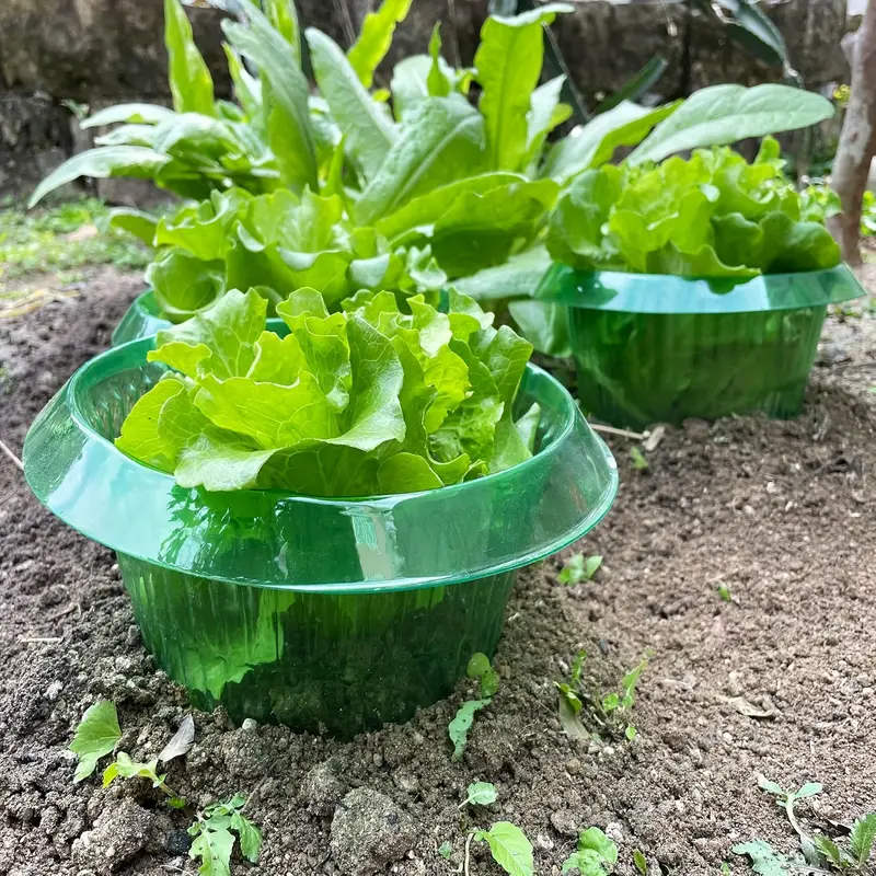 Plants Slug Protection Rings V - Plant Parents incelemesi ve fiyatı