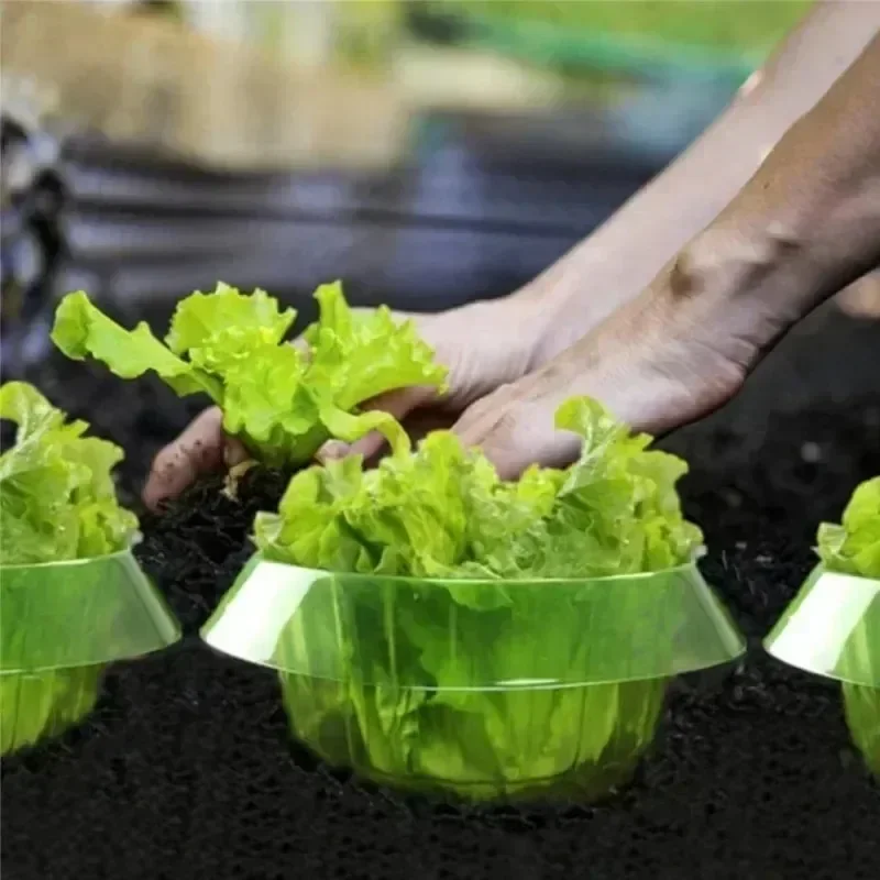 Plants Slug Protection Rings V - Plant Parents incelemesi ve fiyatı