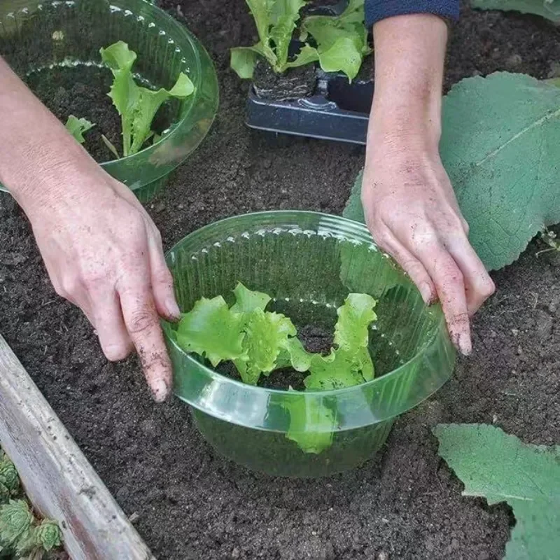 Plants Slug Protection Rings V - Plant Parents incelemesi ve fiyatı