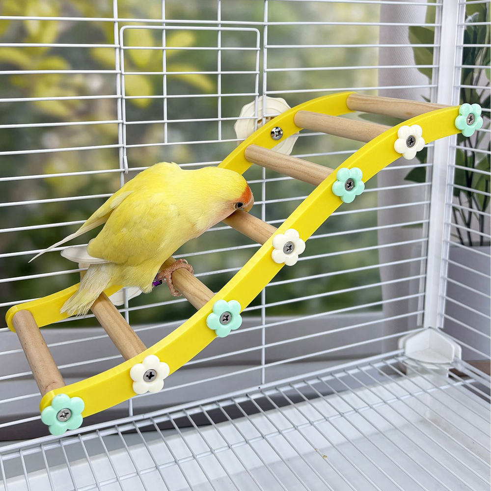 Parrot Climbing Ladder Bird Fl - Plant Parenthood incelemesi ve fiyatı