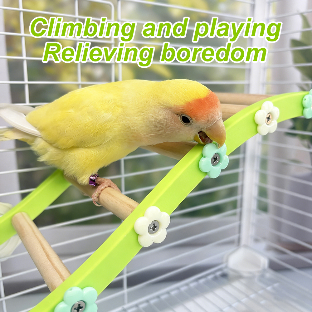 Parrot Climbing Ladder Bird Fl - Plant Parenthood incelemesi ve fiyatı