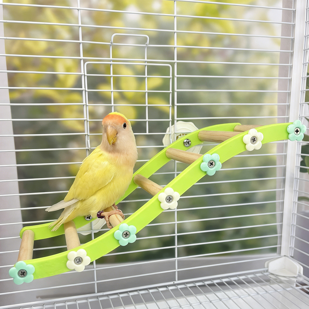 Parrot Climbing Ladder Bird Fl - Plant Parenthood incelemesi ve fiyatı