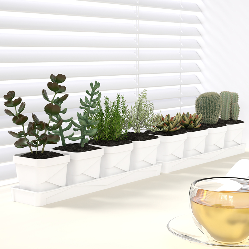Nordic Minimalist Succulent Po - Cactus Mix Pot incelemesi ve fiyatı