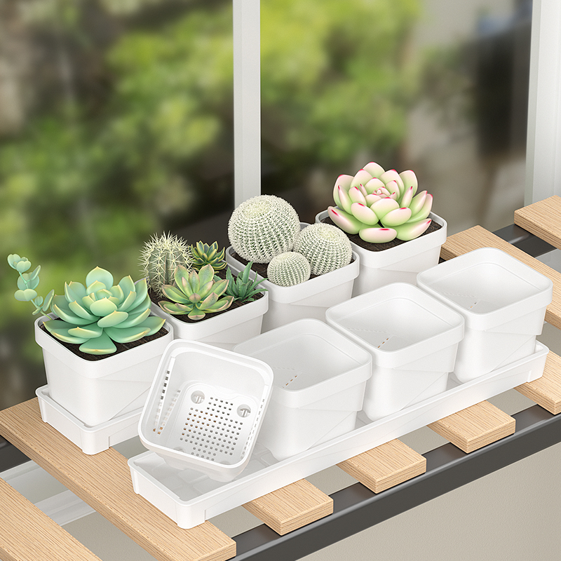 Nordic Minimalist Succulent Po - Cactus Mix Pot incelemesi ve fiyatı