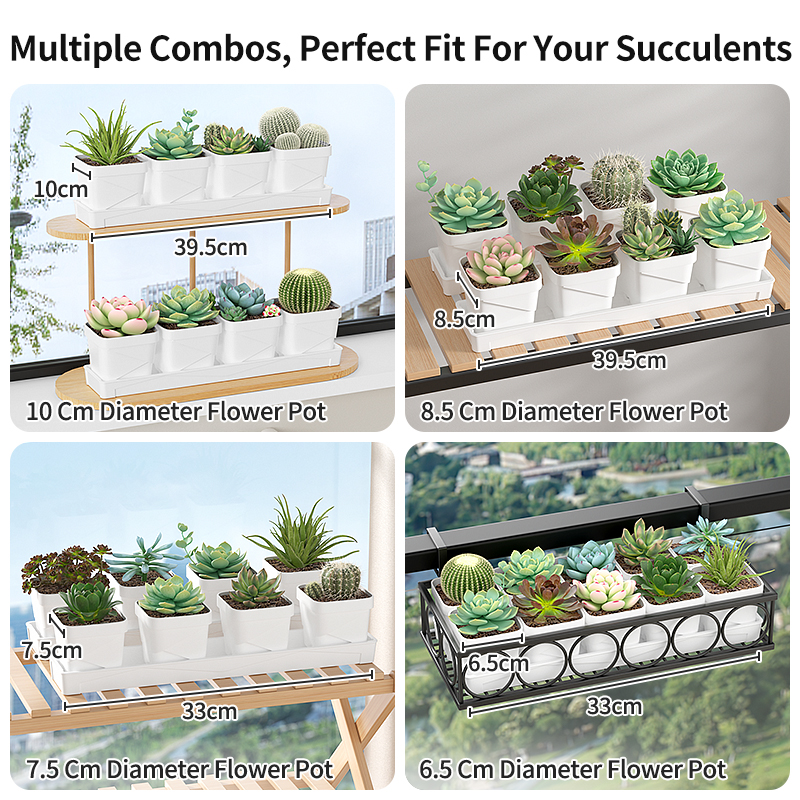 Nordic Minimalist Succulent Po - Cactus Mix Pot incelemesi ve fiyatı