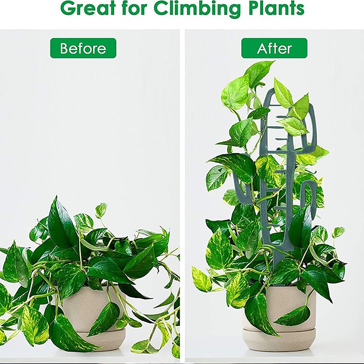 Plant Climbing Support Stand F - Cactus Mix Pot incelemesi ve fiyatı