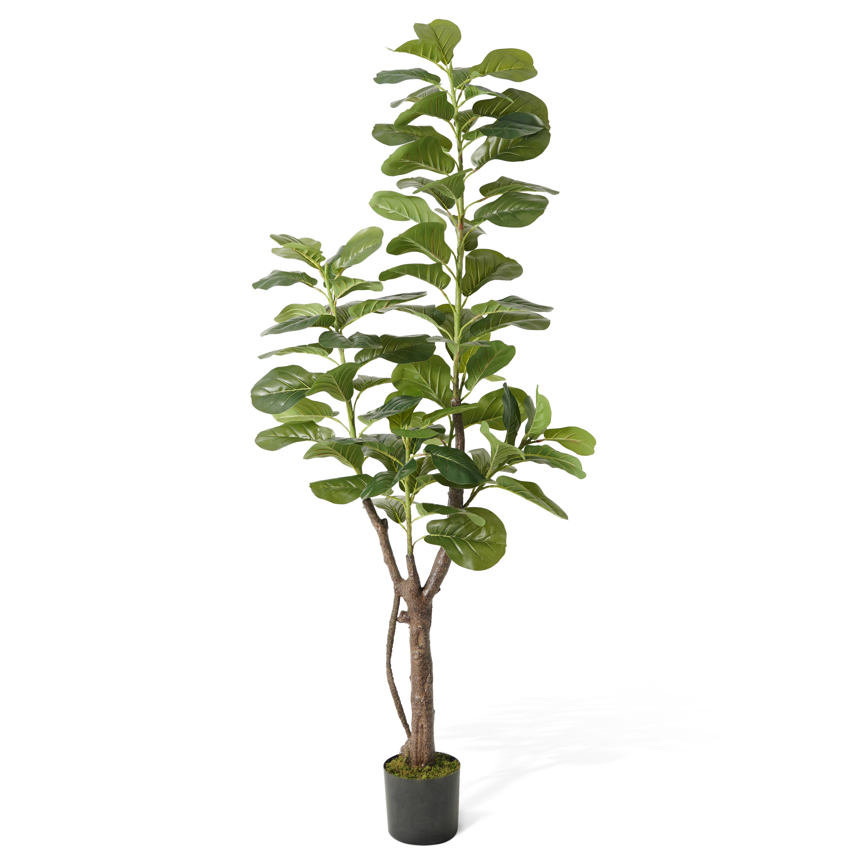 CAPHAUS Artificial Fiddle Leaf - Rubber Plant Ficus incelemesi ve fiyatı