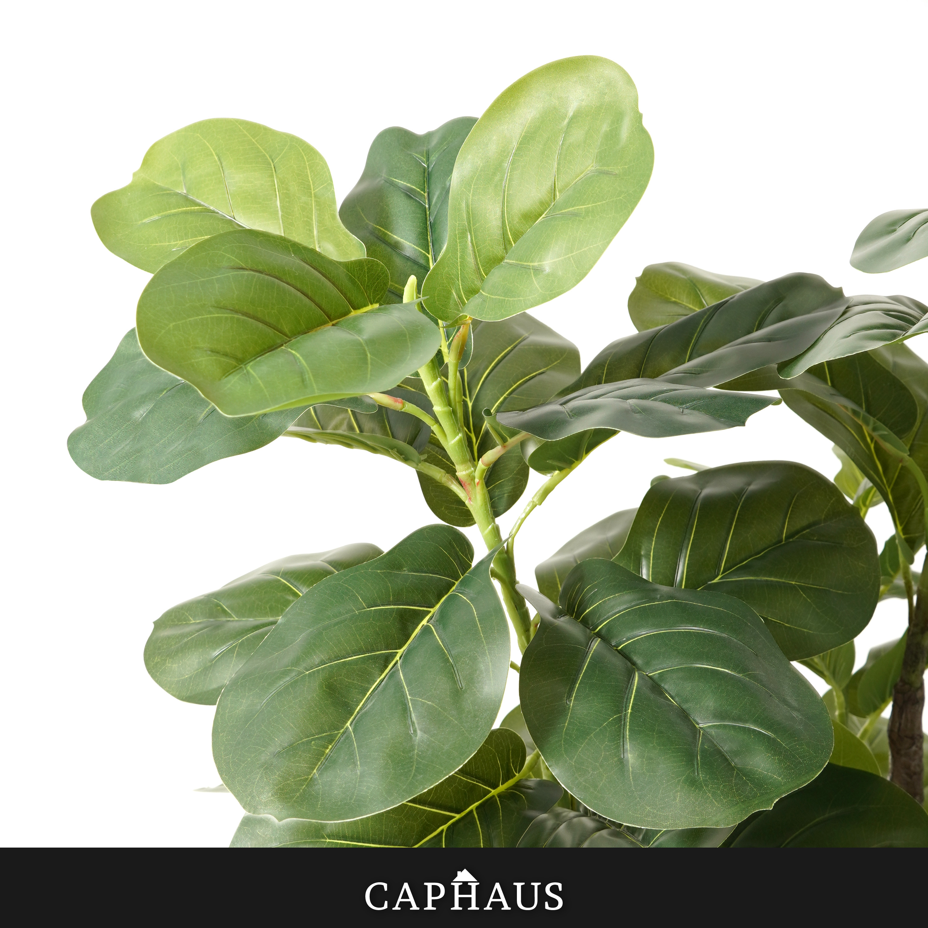 CAPHAUS Artificial Fiddle Leaf - Rubber Plant Ficus incelemesi ve fiyatı